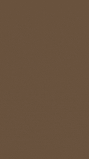 Engagement Invitation