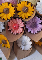 Load image into Gallery viewer, Multi-Color Daisy Flower Candles | SCDS-002
