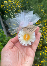 Load image into Gallery viewer, Wrapped White Daisy Candle Flower | SCDS-015
