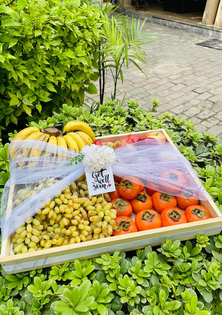Wellness Fruit Basket | GB-210