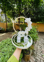 Load image into Gallery viewer, Pearl Halo Ring Tray | NT-033