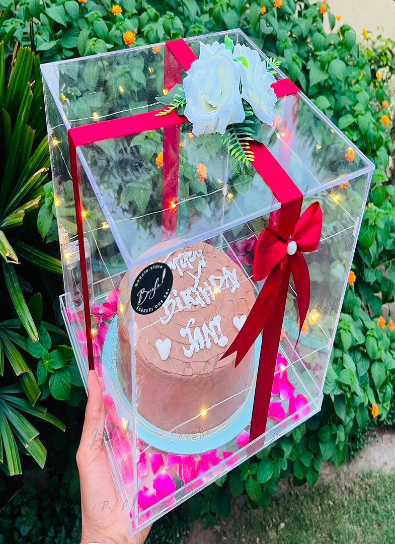 A clear acrylic cake box with built-in fairy lights, red ribbon, and white roses, holding a chocolate birthday cake, held by a hand in front of a green garden background.