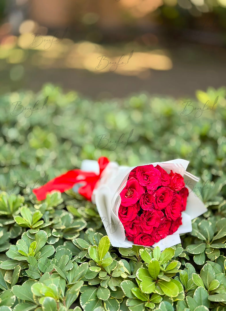 Bright pink red rose bouquet with elegant white wrapping